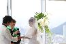 ALICE IN TAKAMATSU�@by QUEEN ALICE