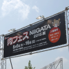 肉フェス NIIGATA 2015 夏 まとめ