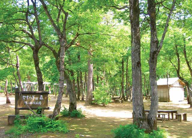 おぐに森林公園