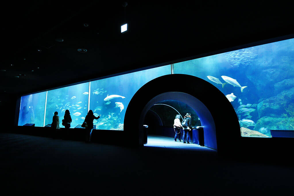 新潟市水族館 マリンピア日本海