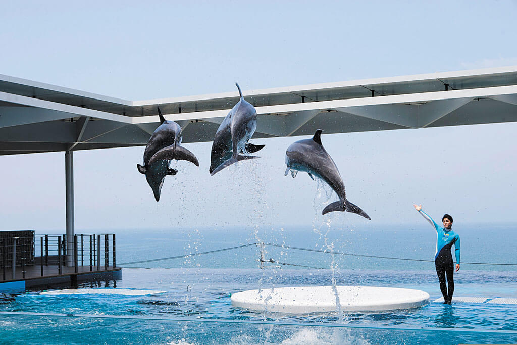 上越市立水族博物館うみがたり