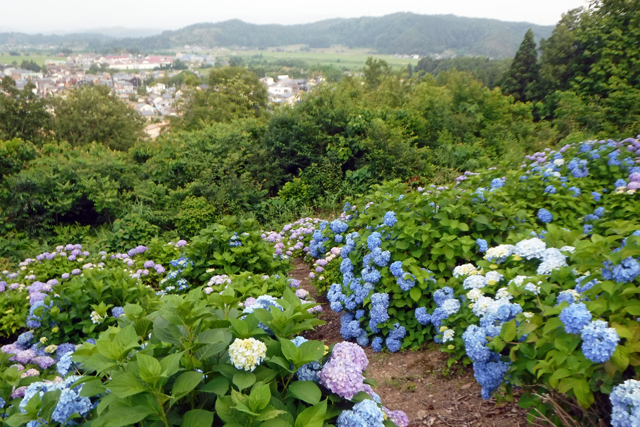 水道山･観音山公園