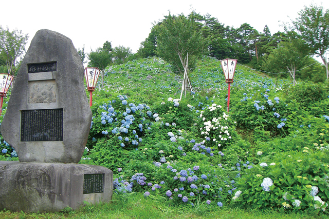 あじさい公園