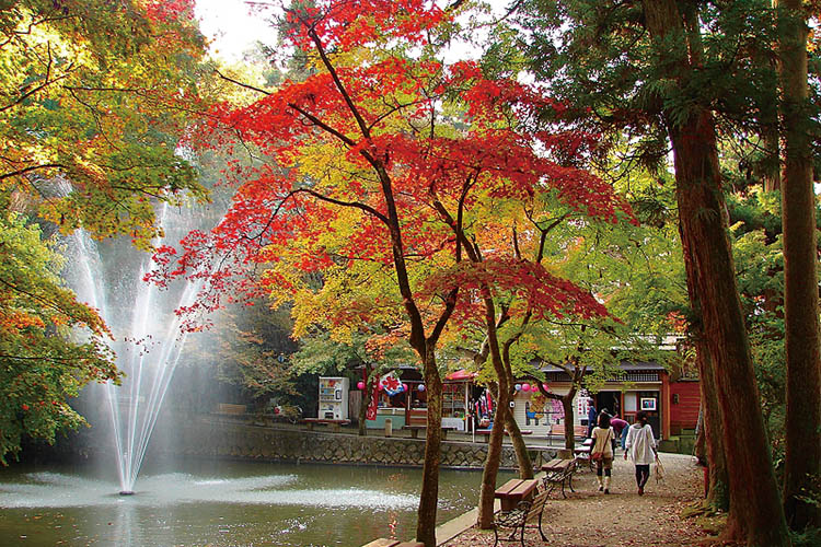 加茂山公園