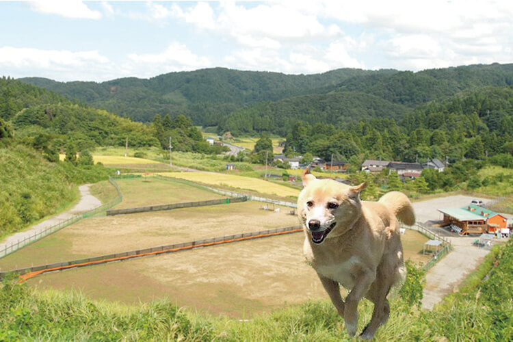 ウエリナ01