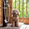 愛犬と一緒に楽しめる♪新潟･近県おでかけスポット＆レジャー10選