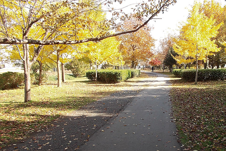 上堰潟公園