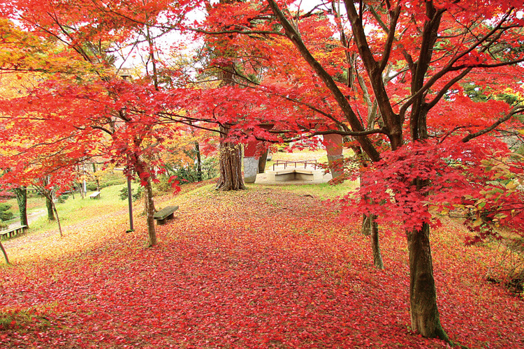 村松公園