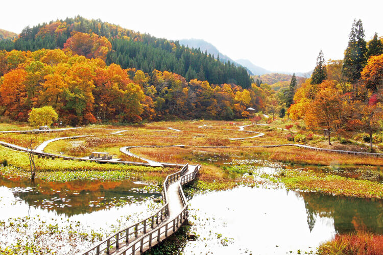 たきがしら湿原