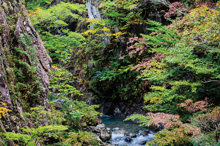 入川渓谷