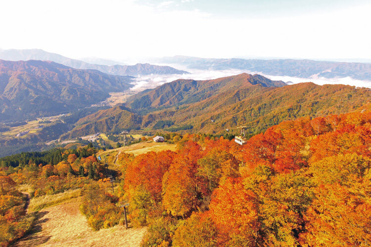 八海山ロープウェー