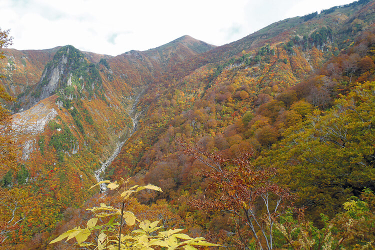 巻機山登山口