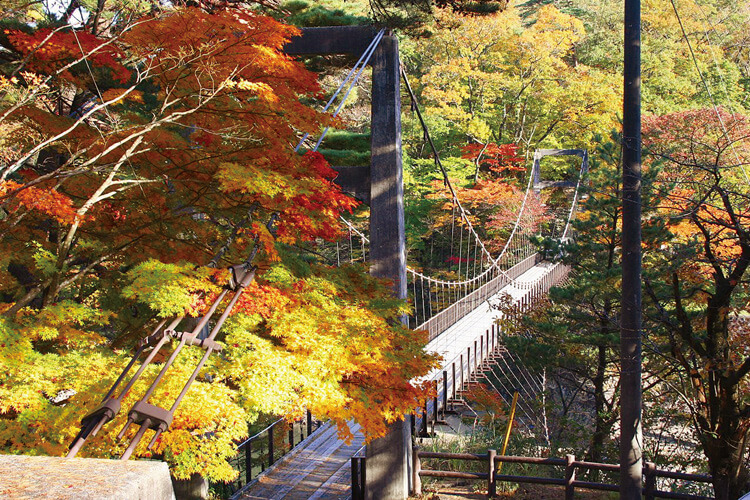 荒川峡もみじライン