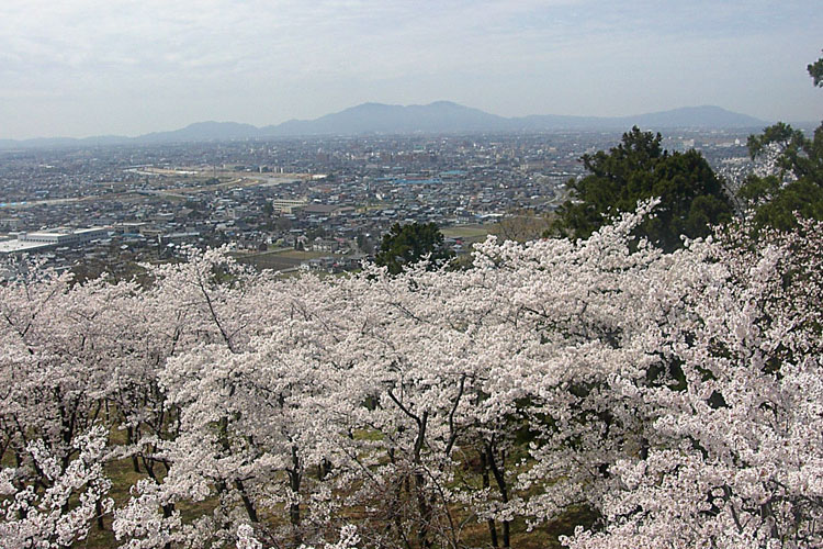 大崎山公園750500