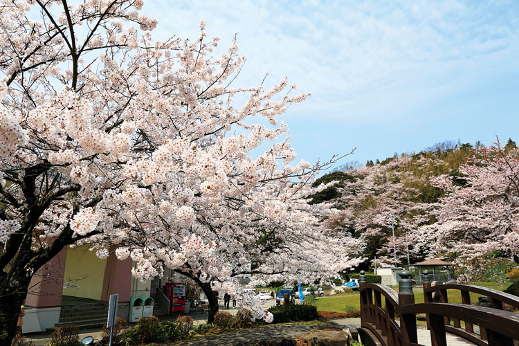 真野公園750500