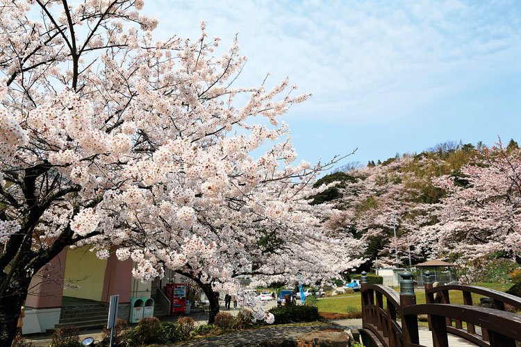 真野公園750500