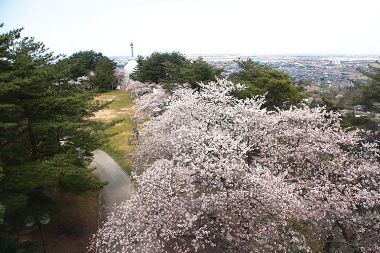 秋葉公園750500