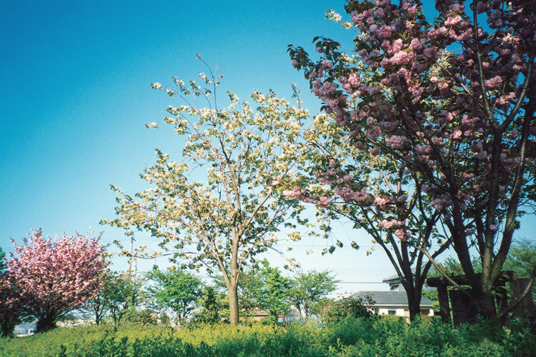 北山池公園750500