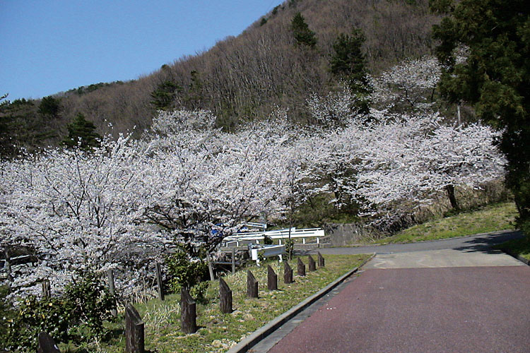 赤松山森林公園750500