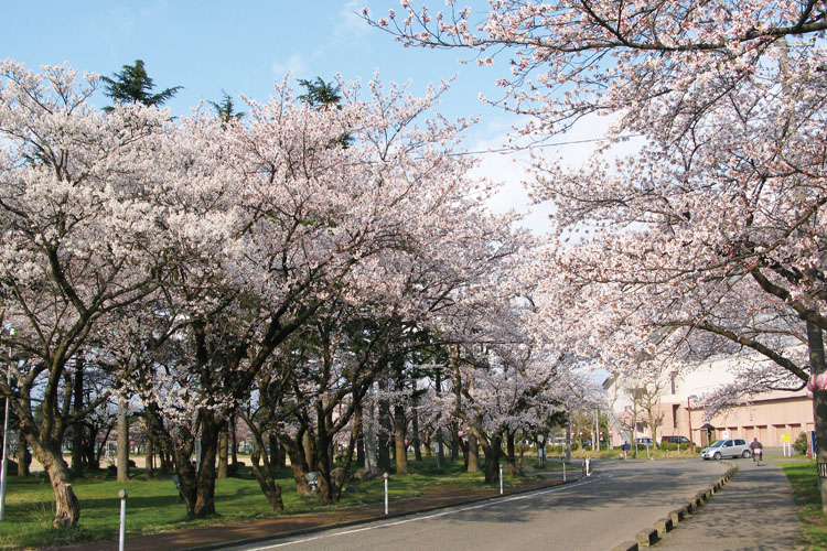 粟島公園750500