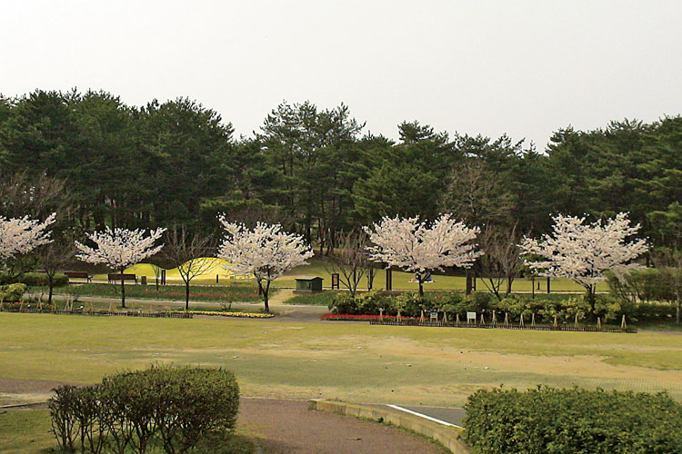 県立紫雲寺記念公園750500