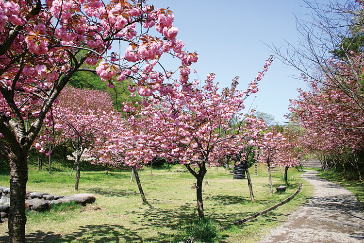 五智公園750500