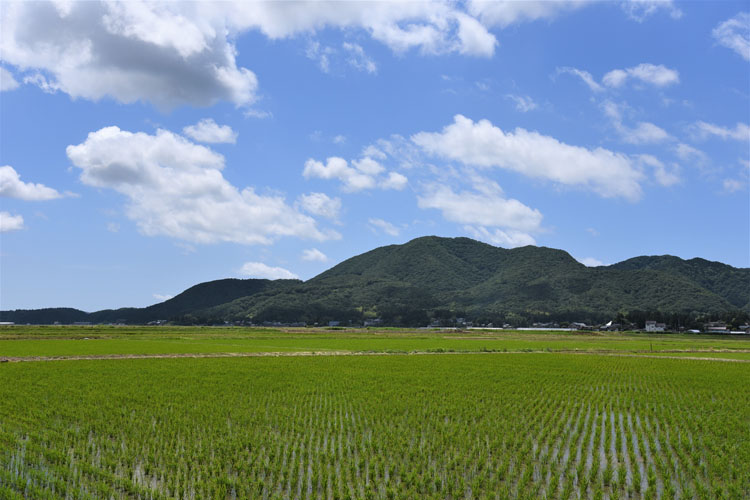 国上山