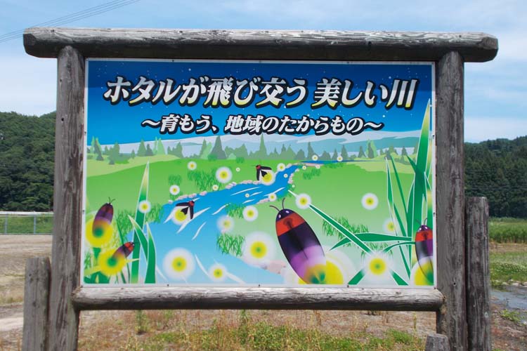 大天城公園看板750500
