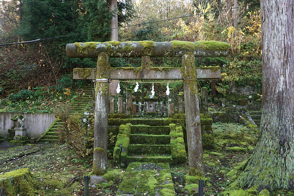 諏訪神社-本殿鳥居