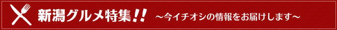 �V���O�������W�`���C�`�I�V�̏������͂����܂��`