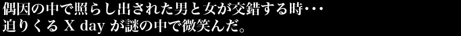 偶因の中で照らし出された男と女が交錯する時･･･迫りくる X day が謎の中で微笑んだ。