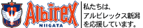 �A���r���b�N�X�V��