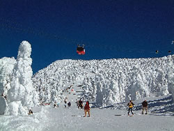山形蔵王温泉スキー場 /スキー場基本情報 | SKI☆ON[スキー・オン]