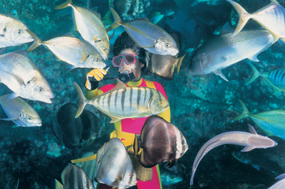 寺泊水族博物館