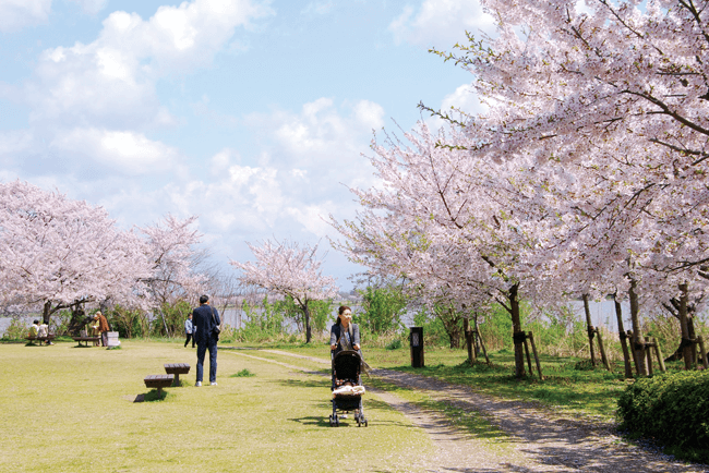 新潟県立鳥屋野潟公園 女池地区