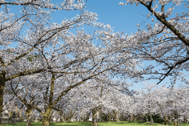 村松公園