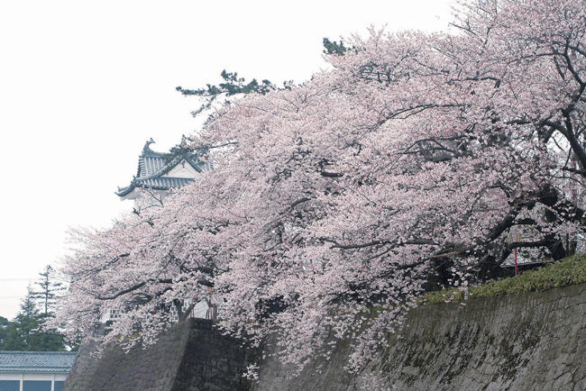 新発田城址公園