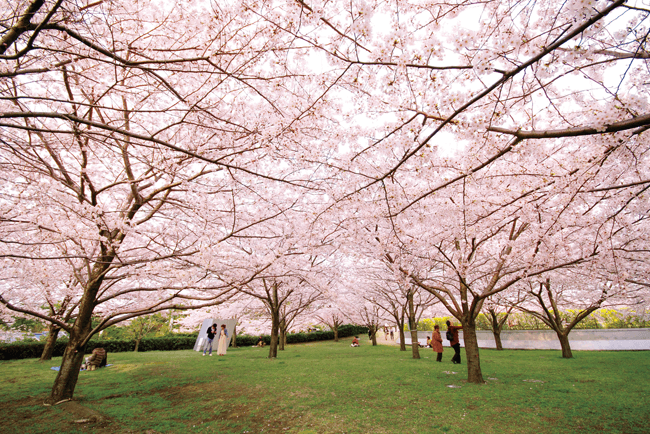 白山公園 空中庭園