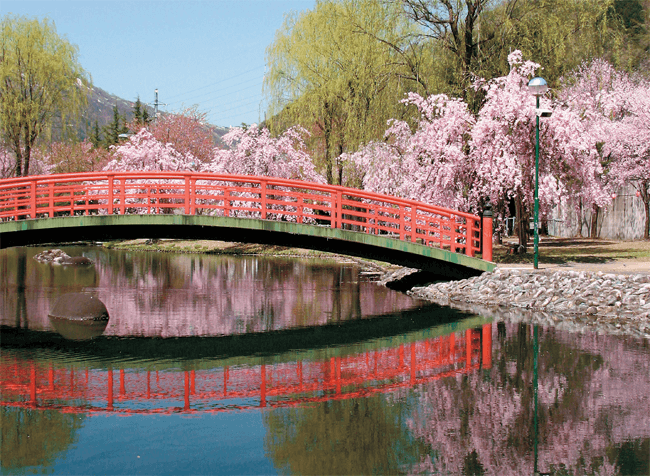 湯沢中央公園