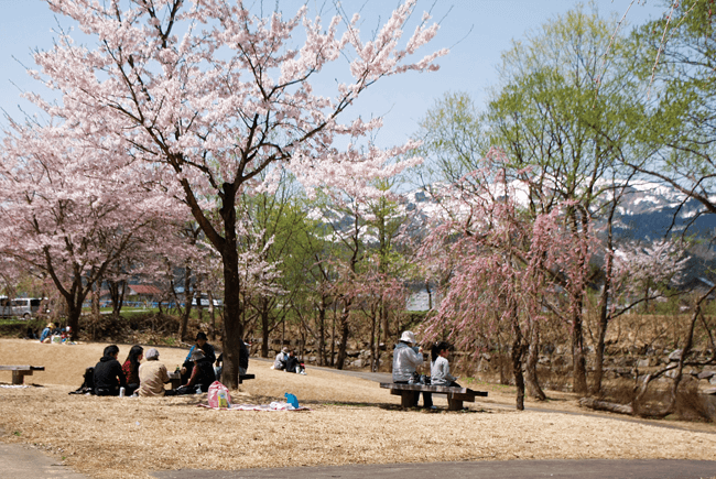 銭淵公園