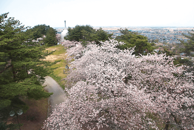 秋葉公園