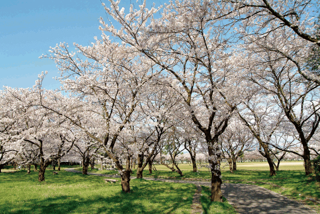 粟島公園