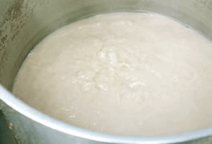 fޥZx̃oXɂ蔲AuȂiȖ킢ɐV̉ƌnt@B