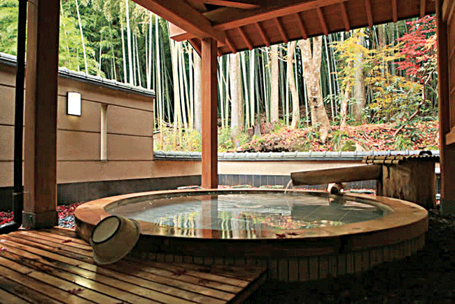 �R�̓���݂̈ꌬ�h ������ ���{��