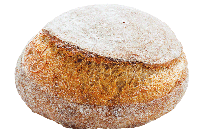 �J�[�u�h�b�`�x�[�J���[ ���X�̐Ηq�Ă��J���p�[�j�� 432�~