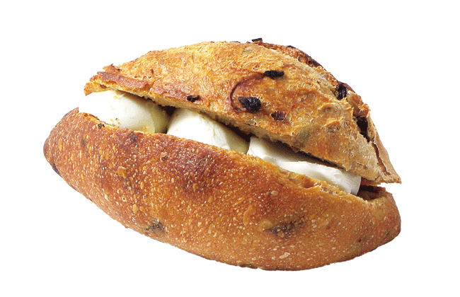 eclatant(GN^)̃hCg}g̃N[`[YTh 172~