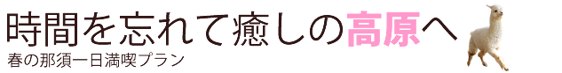 時間を忘れて癒しの高原へ