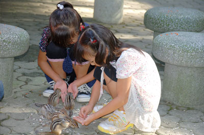 加茂山公園