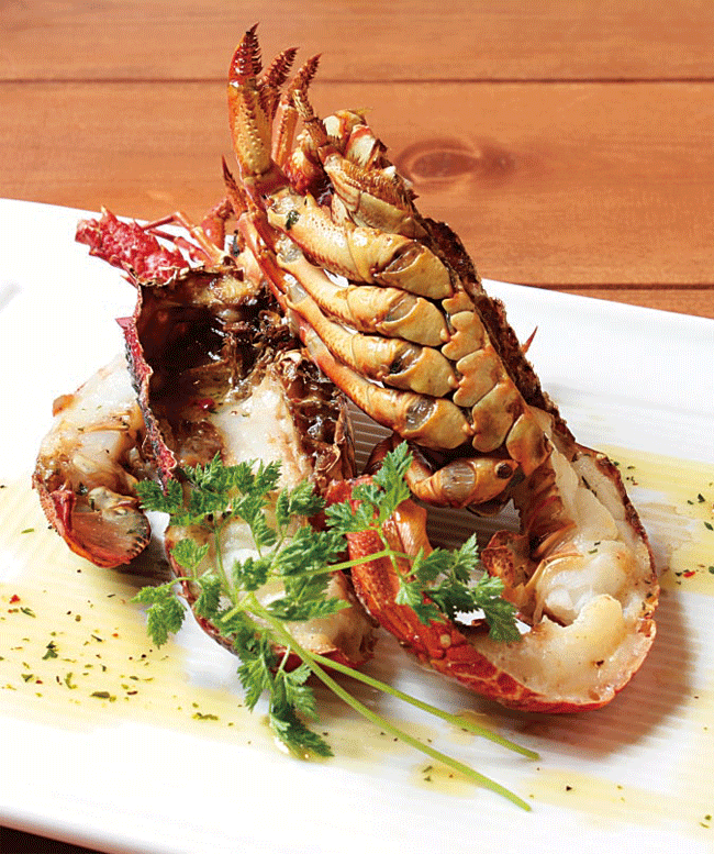 SoLatio �\���e�B�I�̃��u�X�^�[�O���� �\���g&������