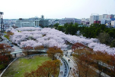 白山公園